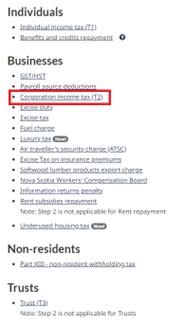 2. Select a Payment Type (For example, Corporation Income Tax for Business Client)