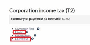 3. Select payment allocation. You can pay with Visa Debit, Debit Mastercard, or Interac Online.