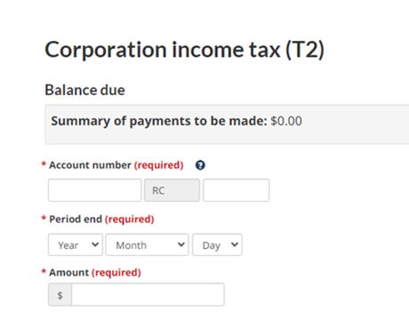 4. Enter payment details